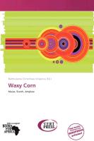 Waxy Corn