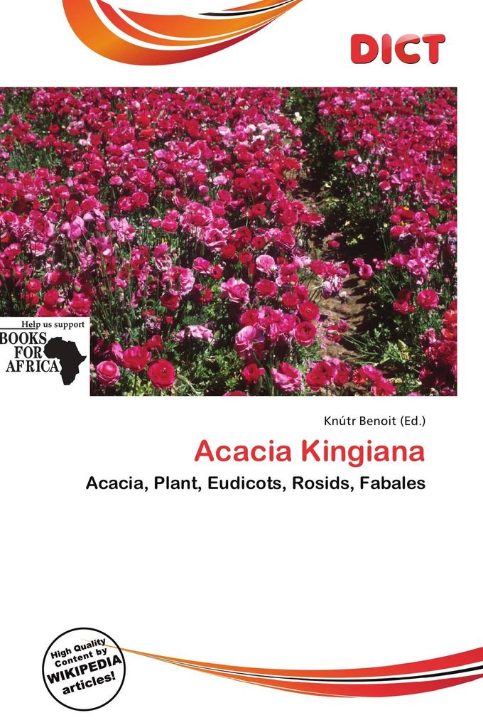 Acacia Kingiana
