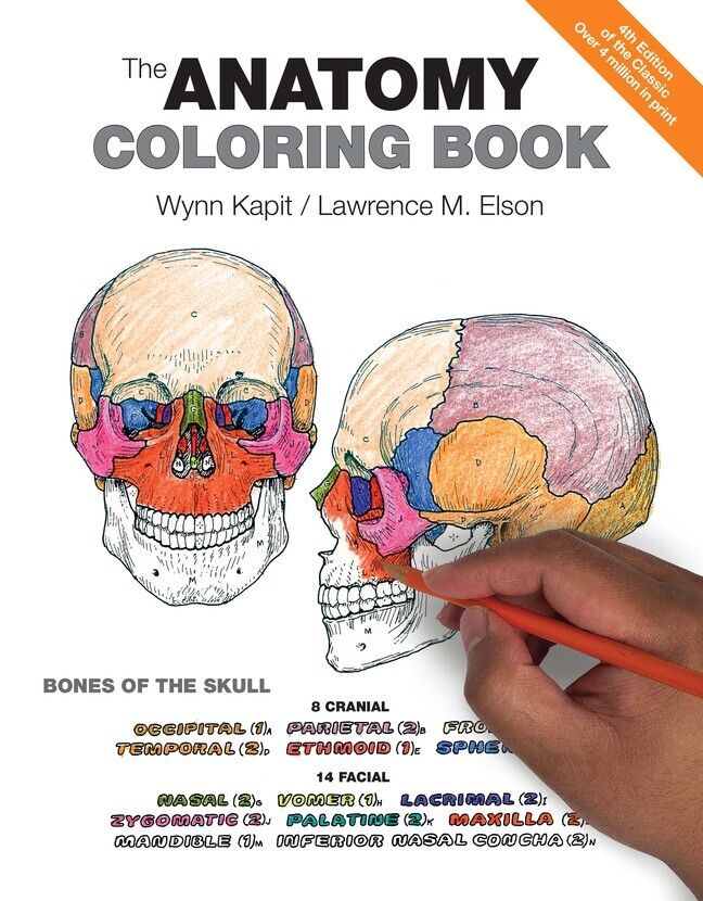 Anatomy Coloring Book The