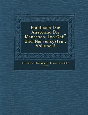 Handbuch Der Anatomie Des Menschen: Das Gef�-︣ Und Nervensystem Volume 3