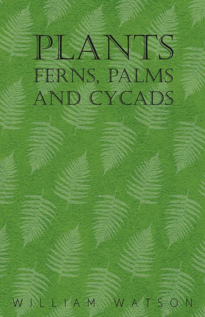 Plants - Ferns Palms and Cycads