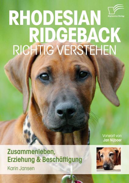 Diplomica Verlag Rhodesian Ridgeback Richtig Verstehen, Zusammenleben Erziehung & Beschäftigung