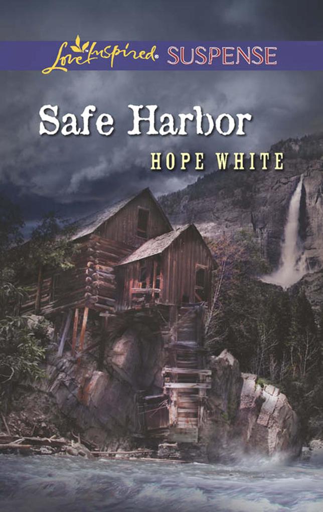 Safe Harbor (Mills & Boon Love Inspired Suspense)