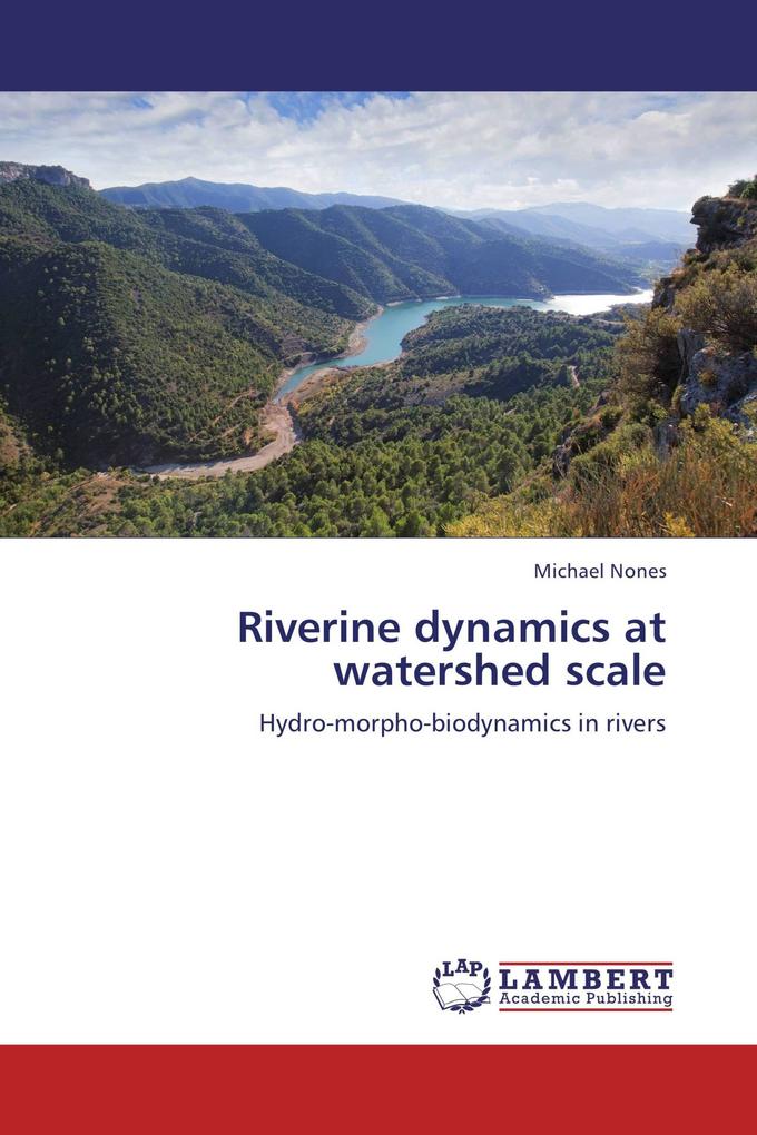 Riverine dynamics at watershed scale