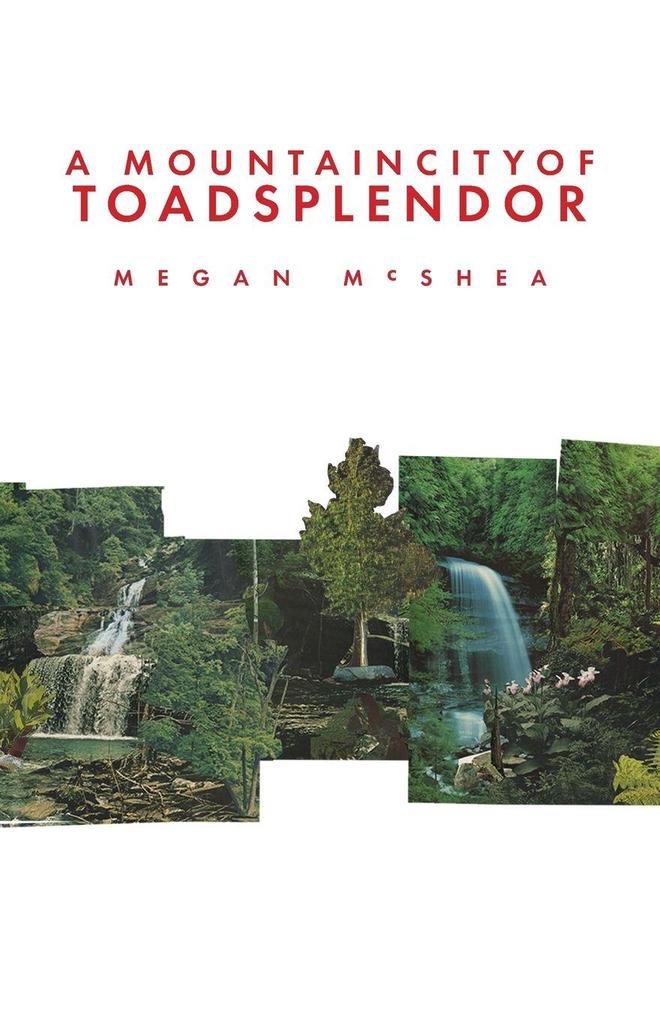 A Mountain City of Toad Splendor