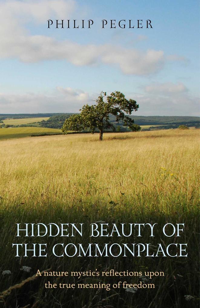 Hidden Beauty of the Commonplace