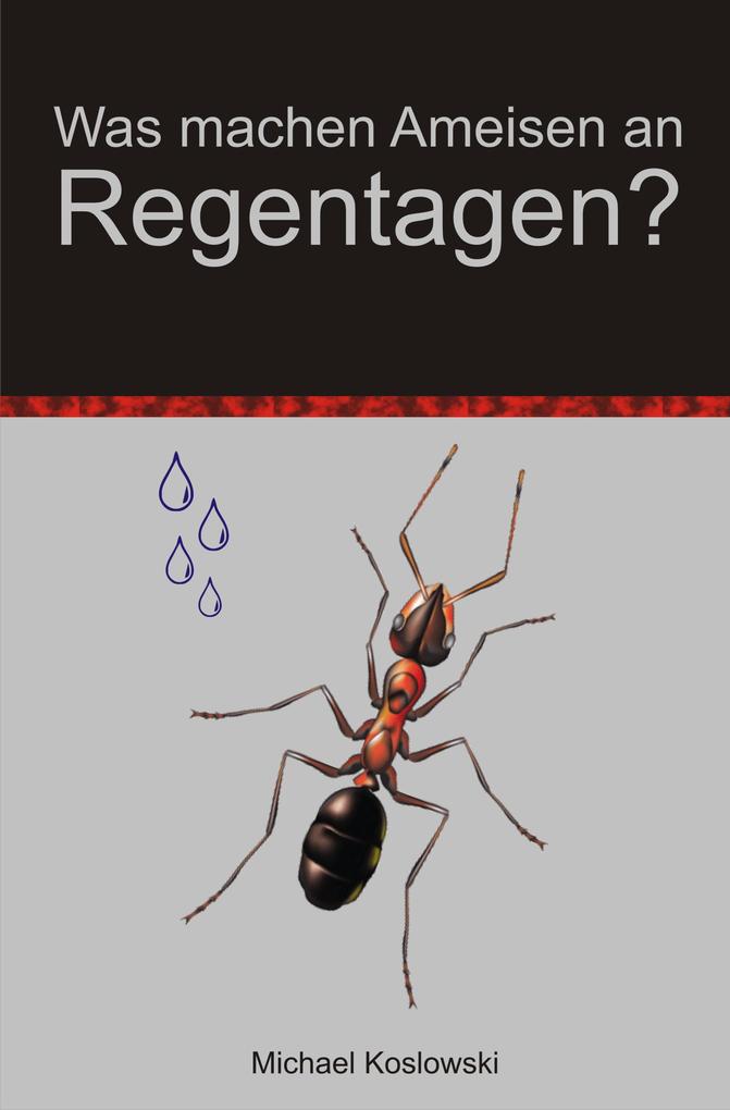 Was machen Ameisen an Regentagen ?