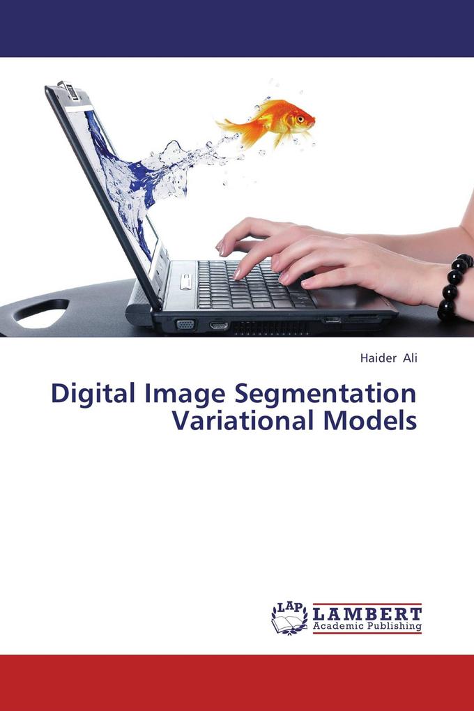 Digital Image Segmentation Variational Models