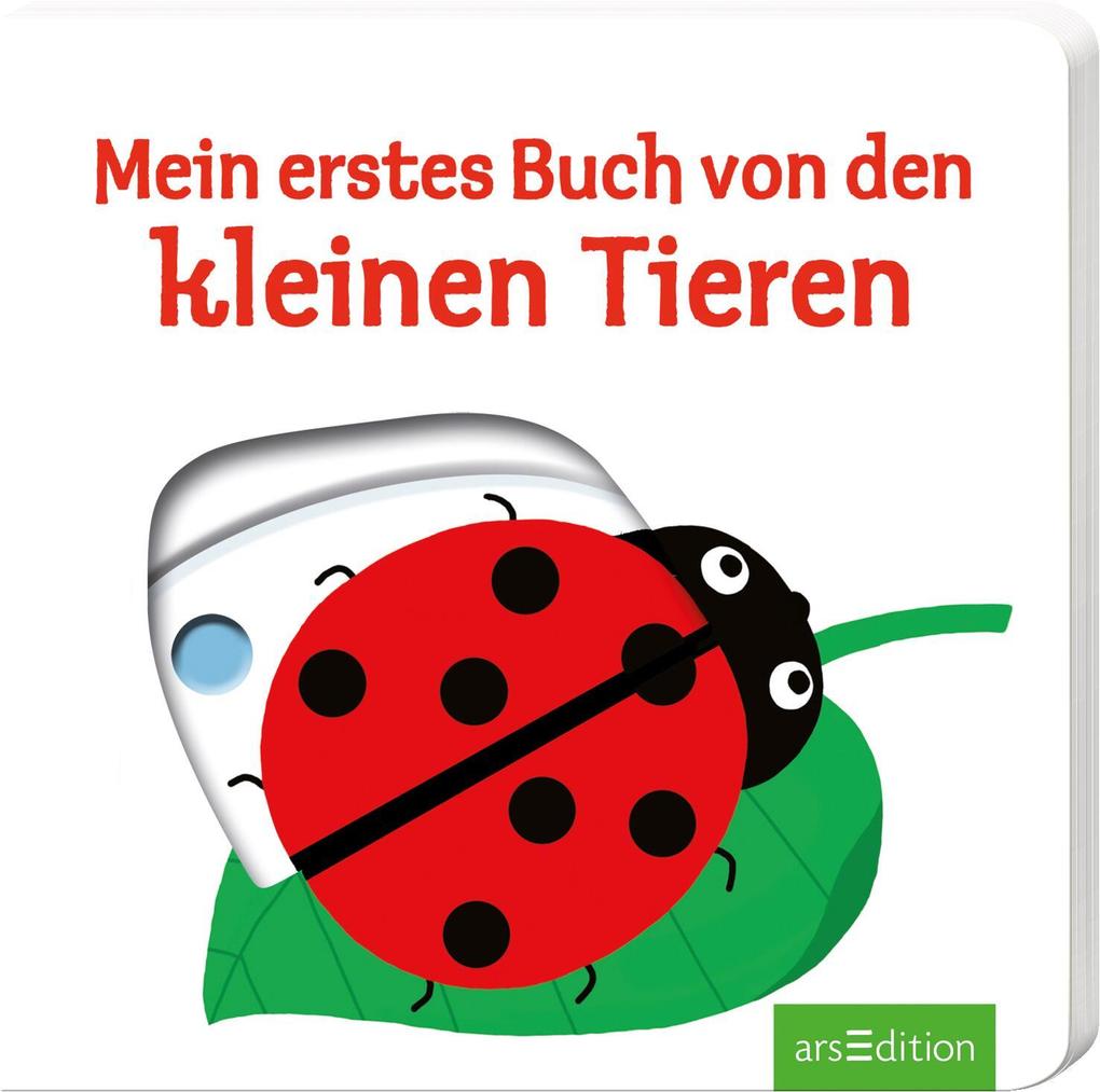 Image of Mein erstes Buch von den kleinen Tieren