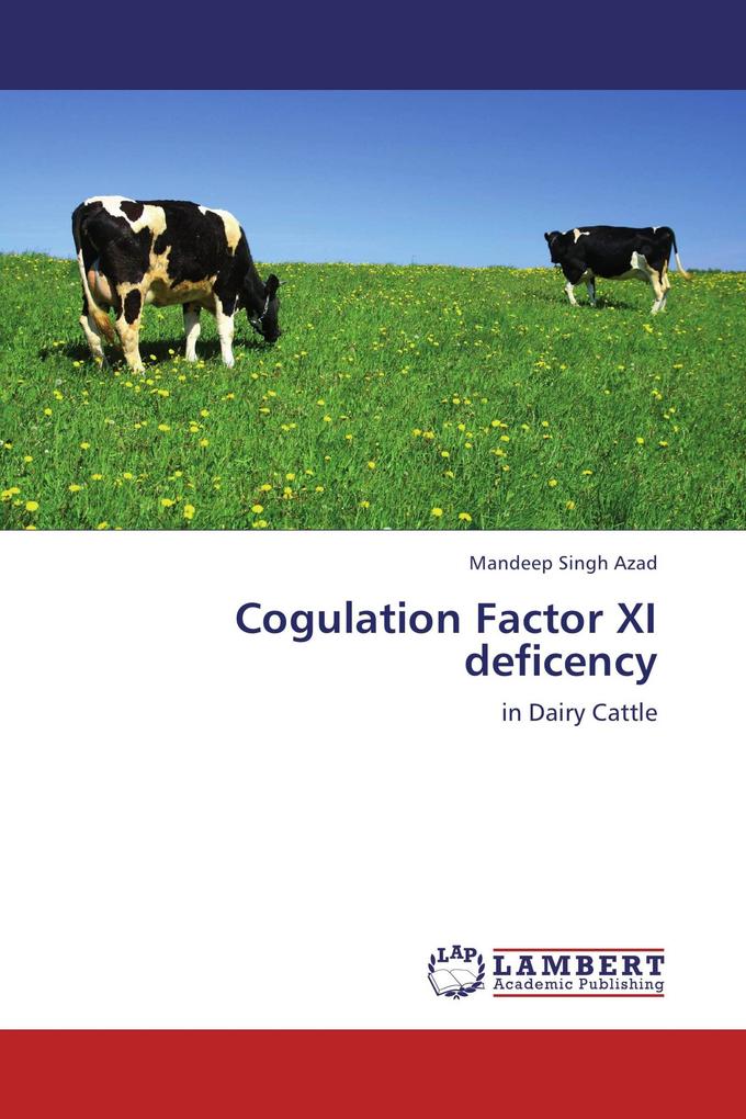 Cogulation Factor XI deficency