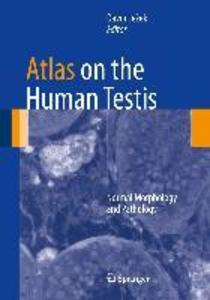 Atlas on the Human Testis