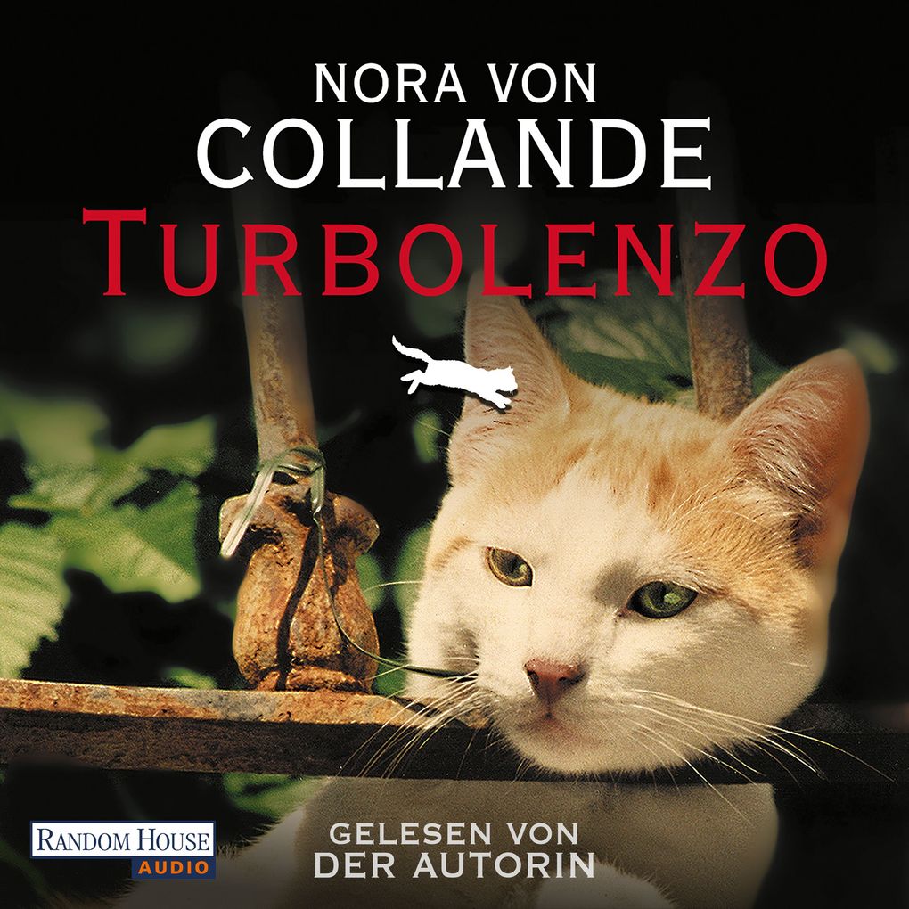 Turbolenzo