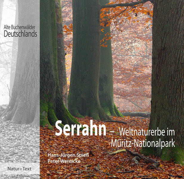 Natur & Text Serrahn - Bild 3