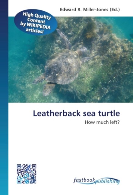 Leatherback sea turtle