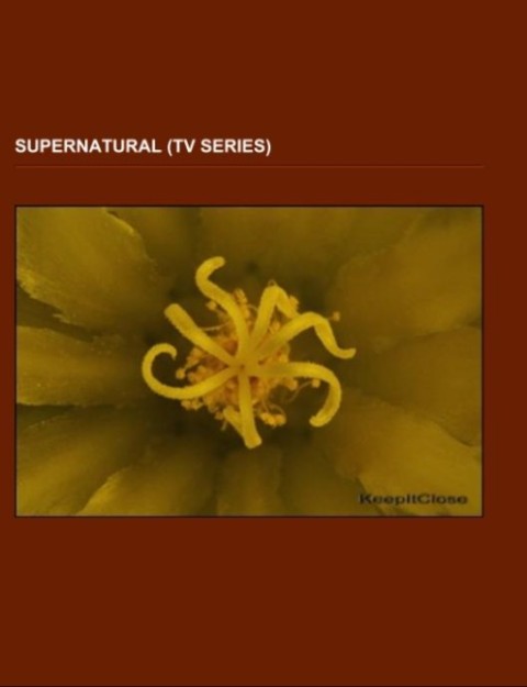 Supernatural (TV series)