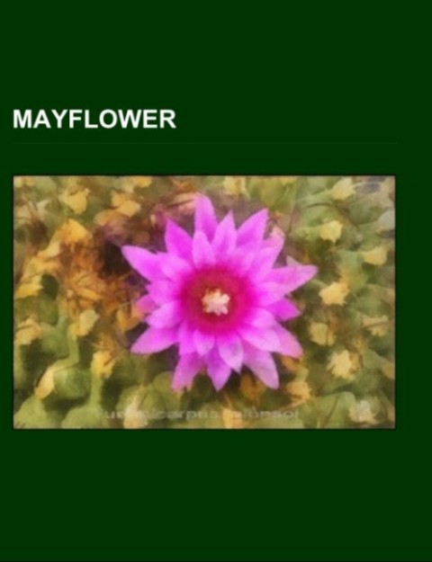 Mayflower
