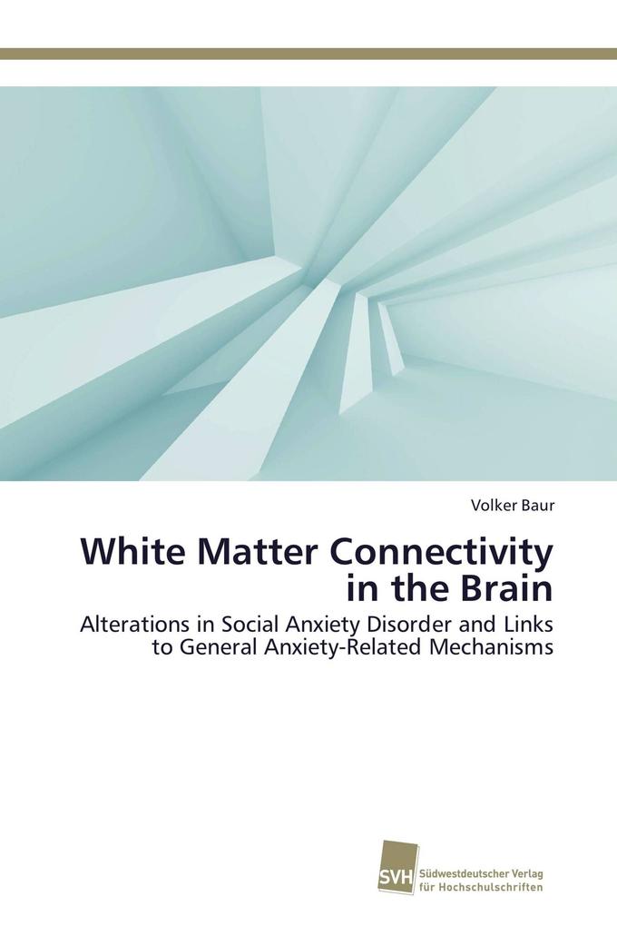 White Matter Connectivity in the Brain