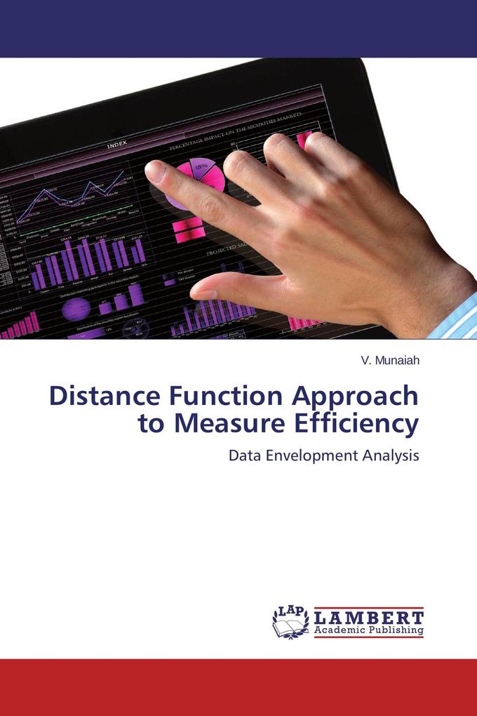 Distance Function Approach to Measure Efficiency