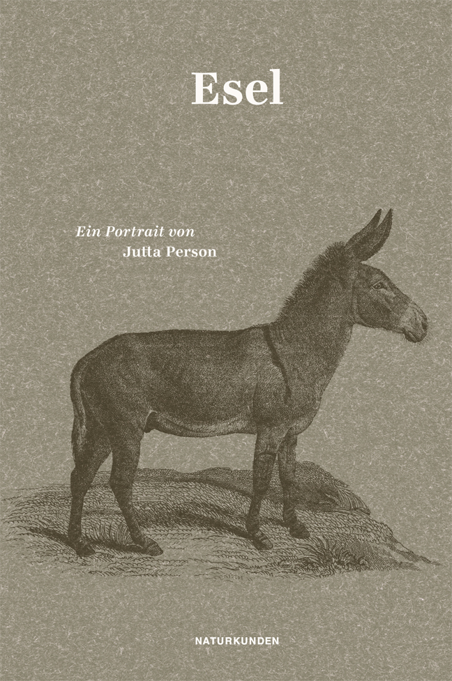 Jutta Person: Esel,Esel - gebunden - Bild 5