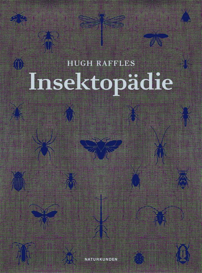 Insektopädie (Naturkunden) - Bild 3