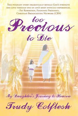 Too Precious to Die: My Daughter‘s Journey to Heaven