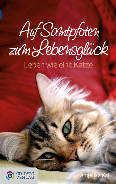 Image of Auf Samtpfoten zum Lebensglück - Taschenbuchausgabe