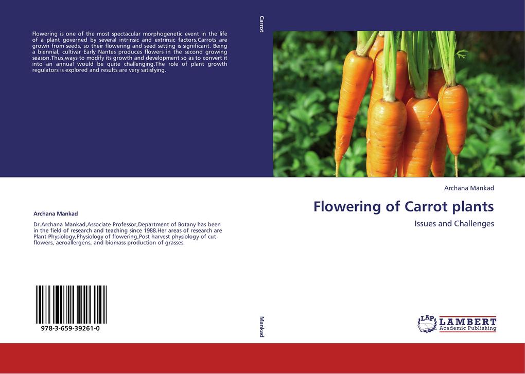 Flowering of Carrot plants