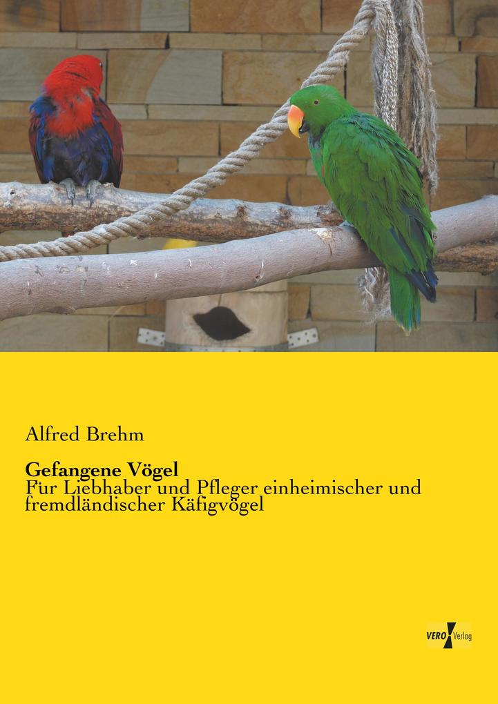 Gefangene Vögel