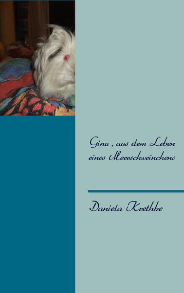 Gino aus dem Leben eines Meerschweinchens