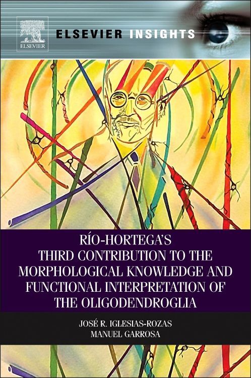 Rio-Hortega‘s Third Contribution to the Morphological Knowledge and Functional Interpretation of the