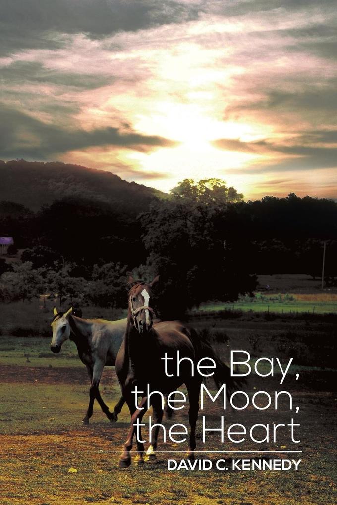 The Bay the Moon the Heart