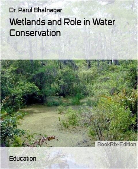 Wetlands and Role in Water Conservation