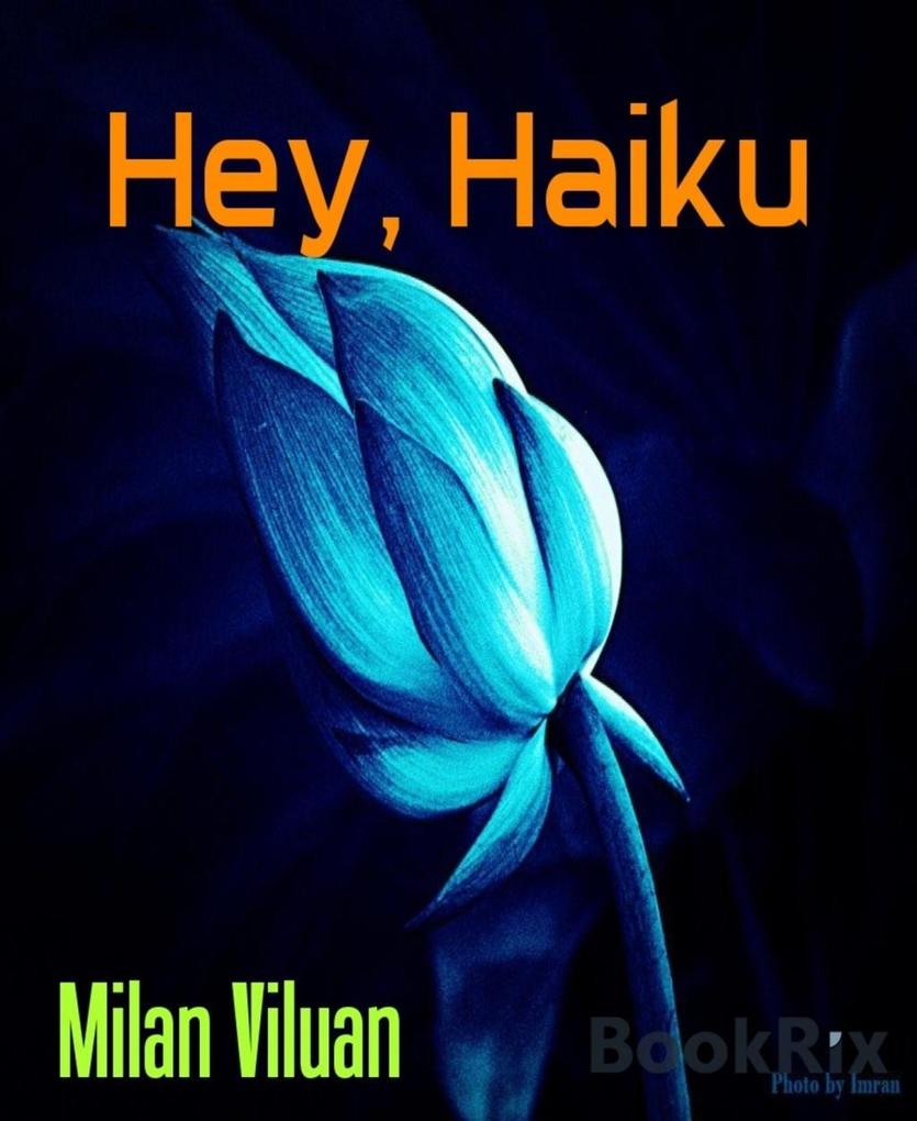 Hey Haiku