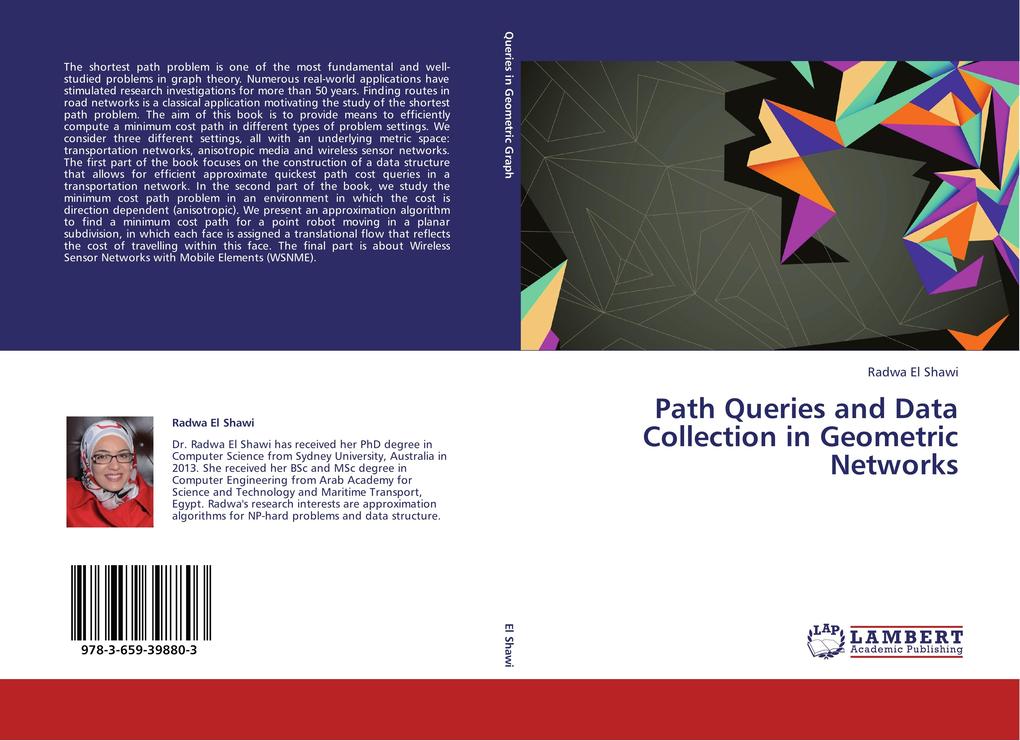 Path Queries and Data Collection in Geometric Networks