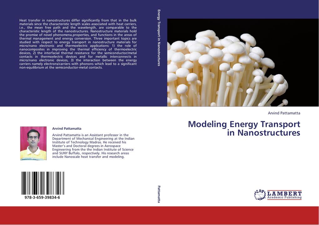Modeling Energy Transport in Nanostructures