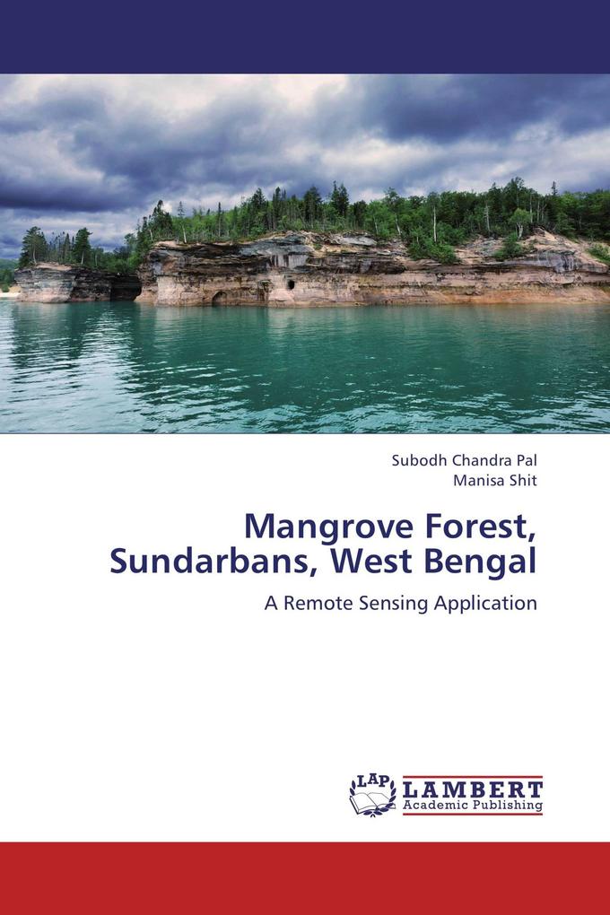 Mangrove Forest Sundarbans West Bengal