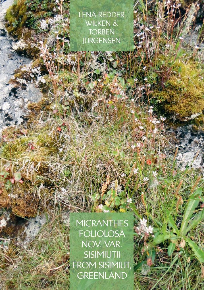 Micranthes foliolosa nov. var. sisimiutii from Sisimiut Greenland