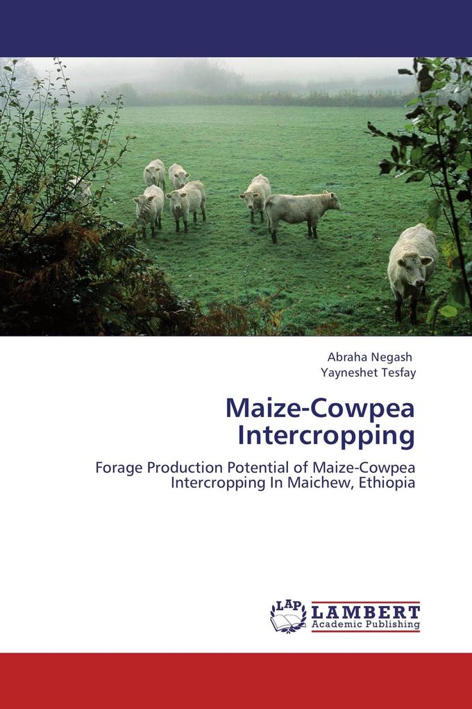 Maize-Cowpea Intercropping