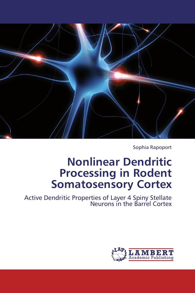 Nonlinear Dendritic Processing in Rodent Somatosensory Cortex