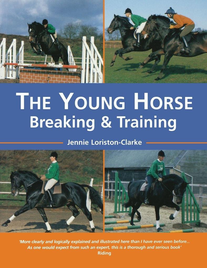 The Young Horse