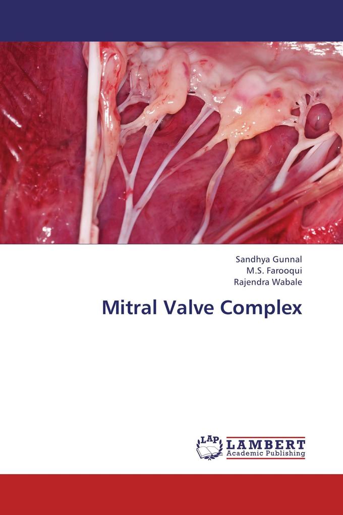 Mitral Valve Complex