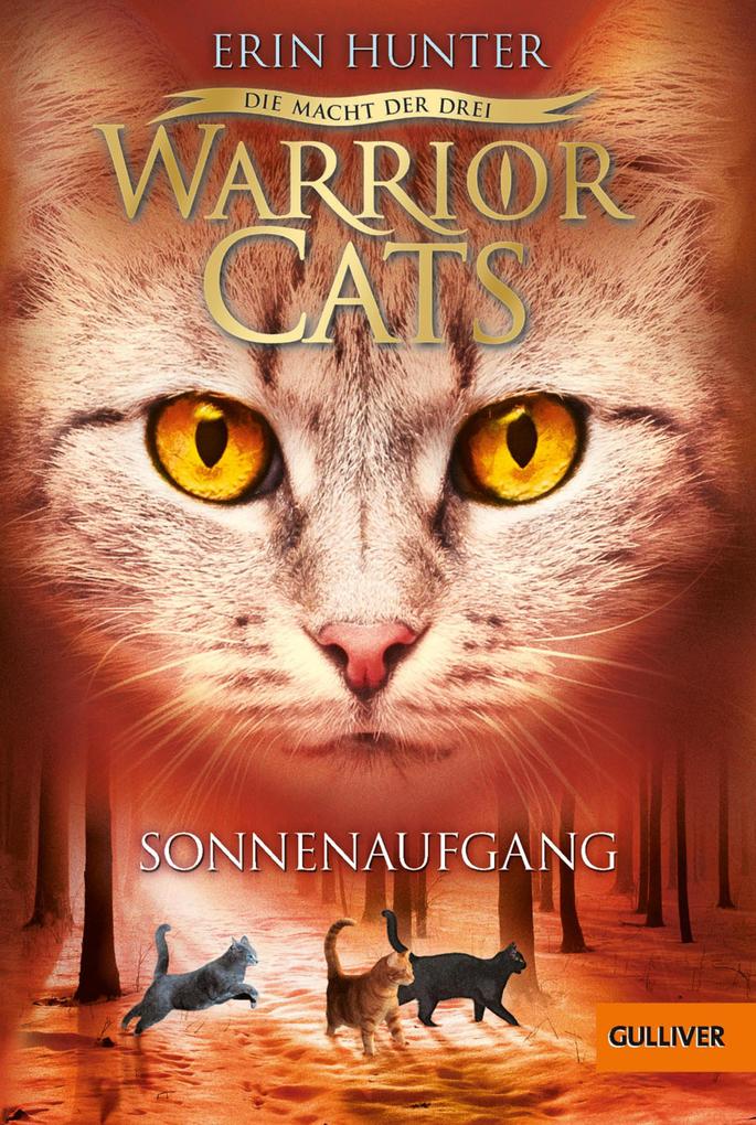 Warrior Cats Staffel 03/6. Die Macht der drei. Sonnenaufgang