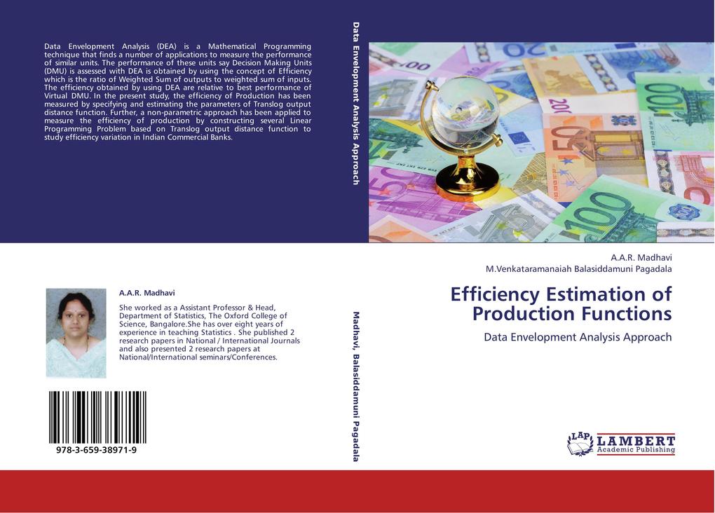 Efficiency Estimation of Production Functions