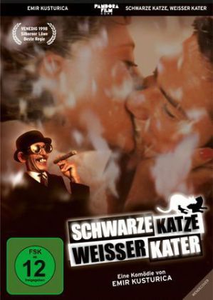 Schwarze Katze weißer Kater