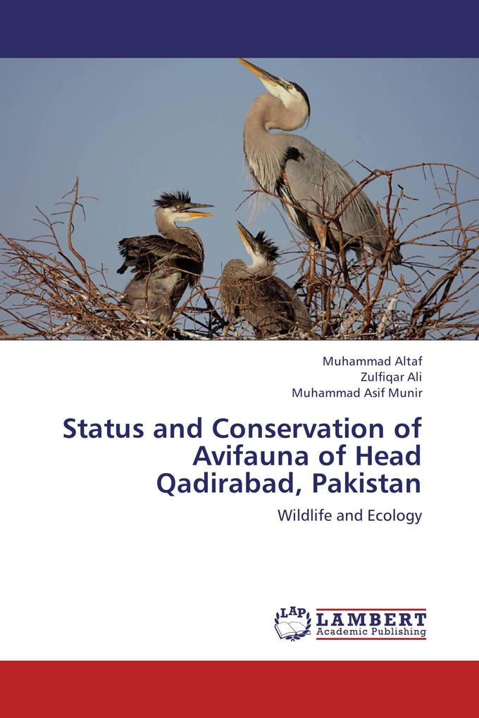 Status and Conservation of Avifauna of Head Qadirabad Pakistan