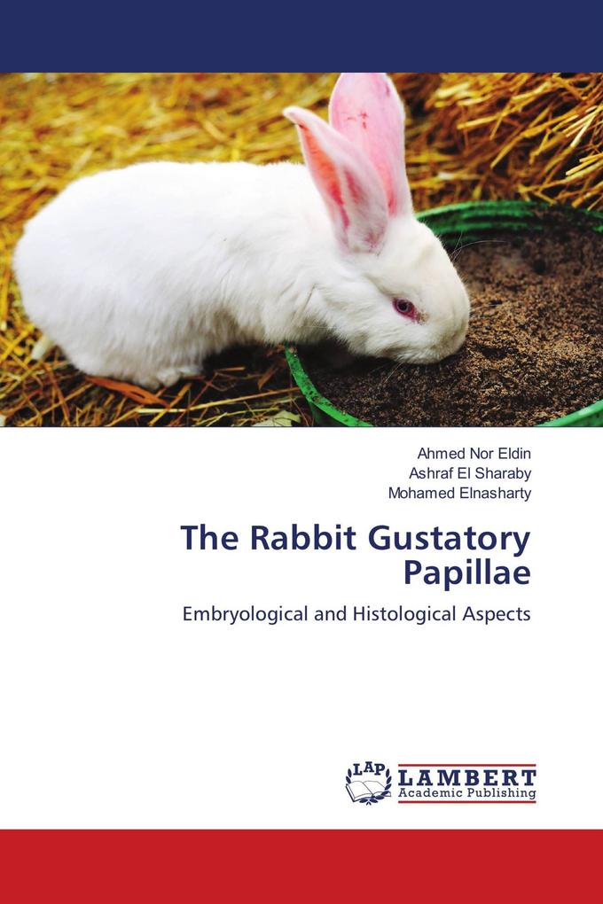 The Rabbit Gustatory Papillae