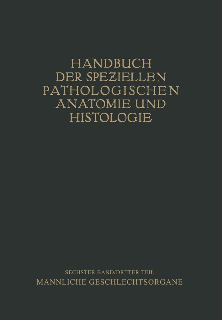 Harnorgane Männliche Geschlechtsorgane
