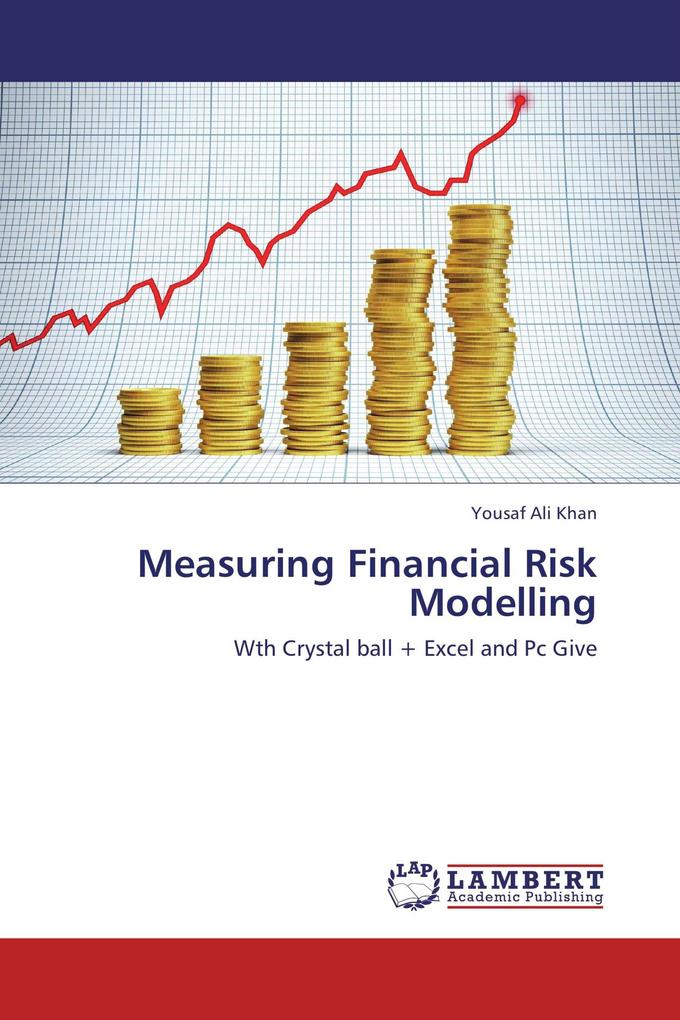 Measuring Financial Risk Modelling