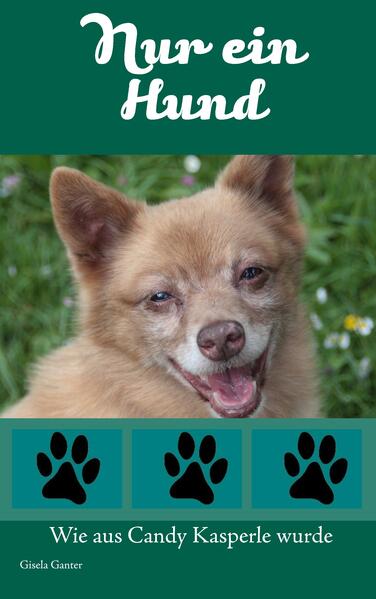 Nur ein Hund