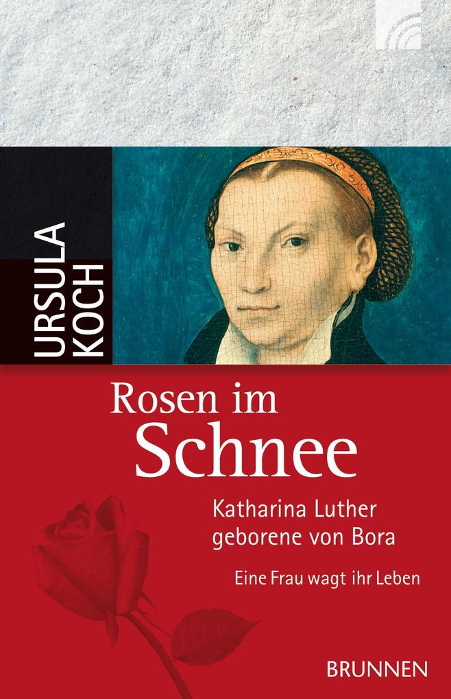 Rosen im Schnee - Ursula Koch